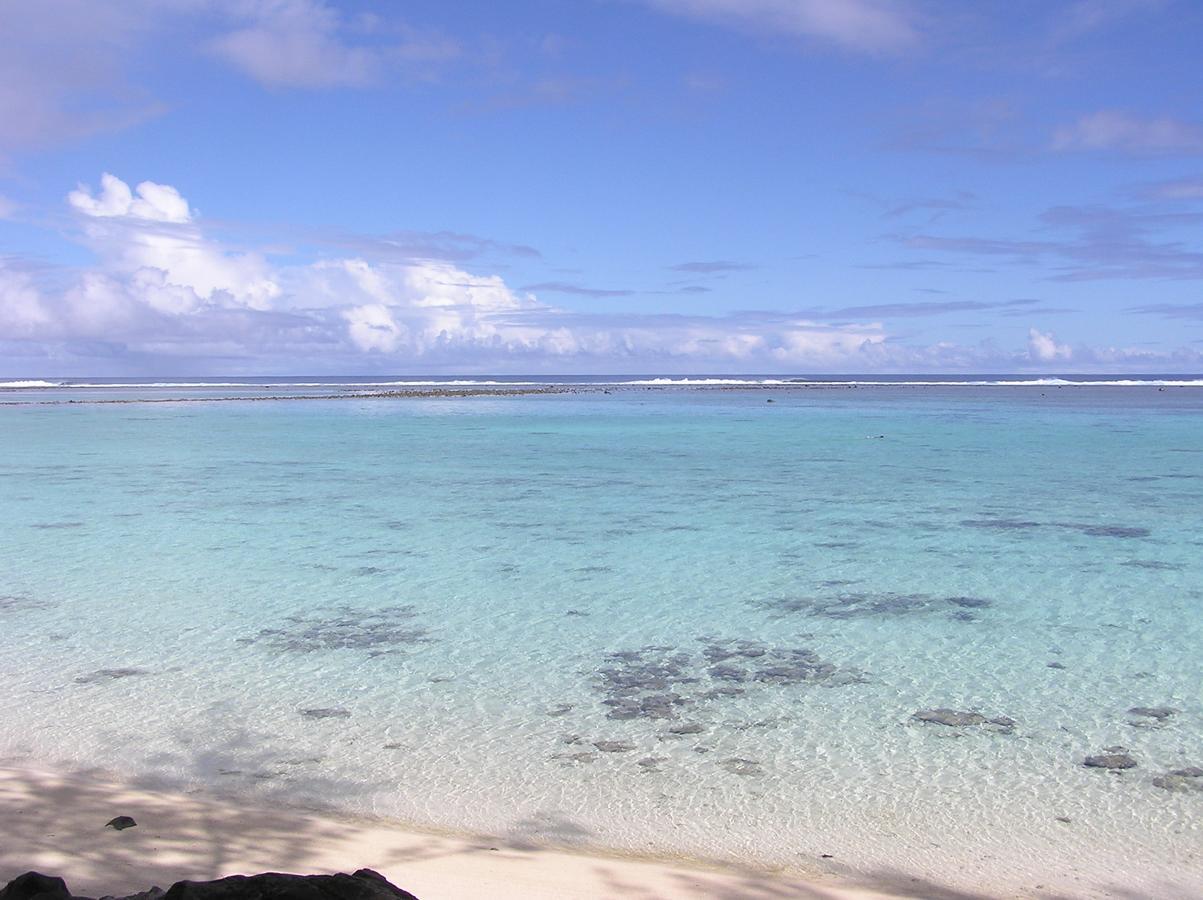 Aroa Kainga Bungalows And Apartment ラロトンガ島 エクステリア 写真