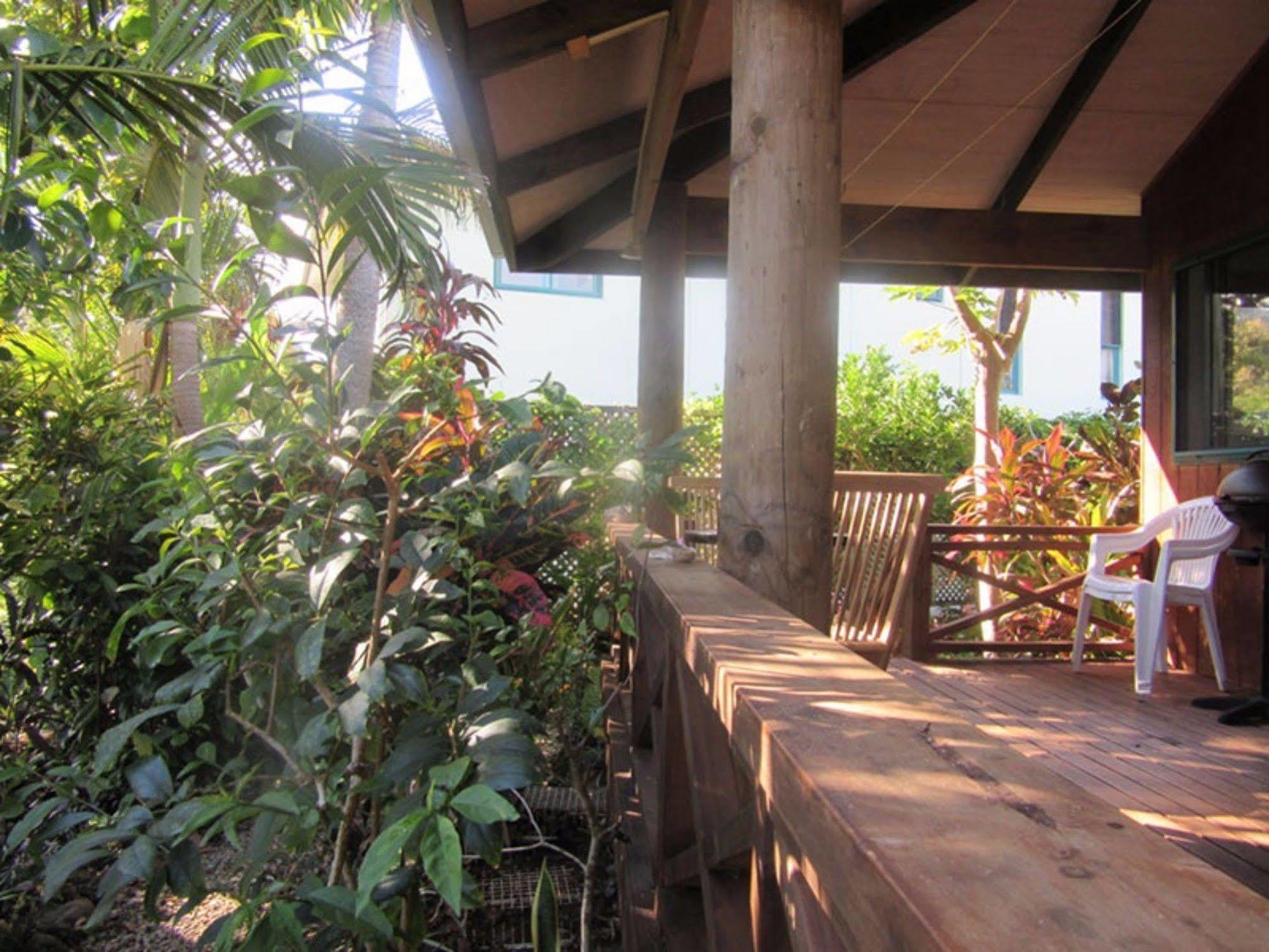 Aroa Kainga Bungalows And Apartment ラロトンガ島 エクステリア 写真